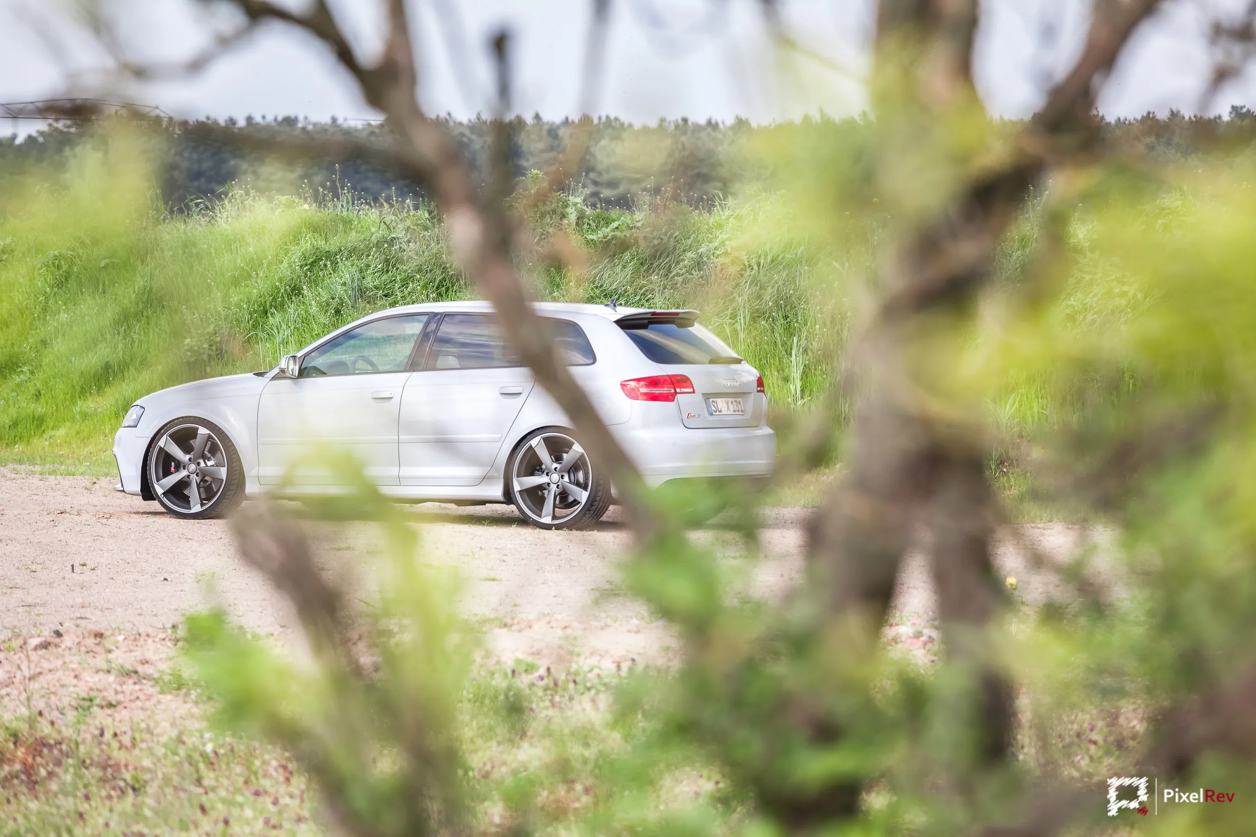 Audi RS3 Sportback durch Gebüsch fotografiert