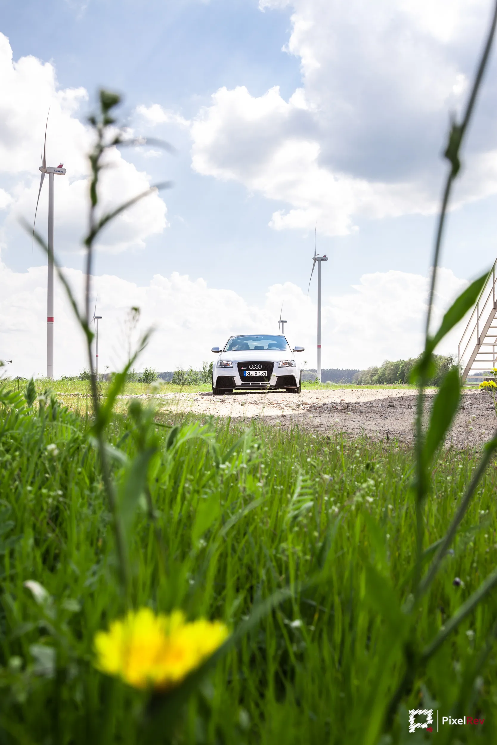 Audi RS3 Sportback hinter einer Wiese mit Löwenzahn