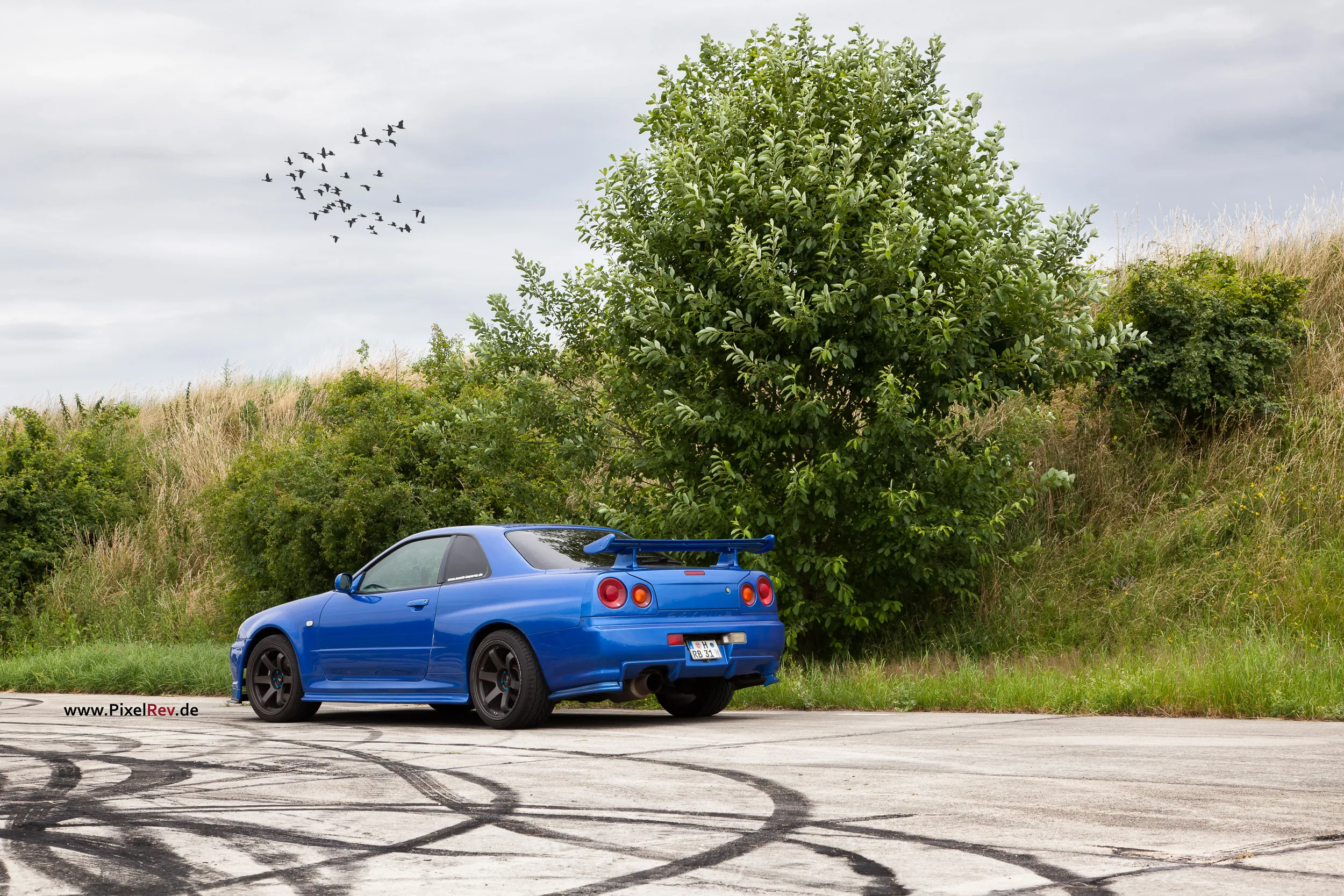 Blauer Nissan Skyline R34 GT-R vor grüner Böschung beim Skymeet 2013